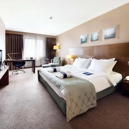 Bh Conference & Airport Hotel Istanbulská provincie